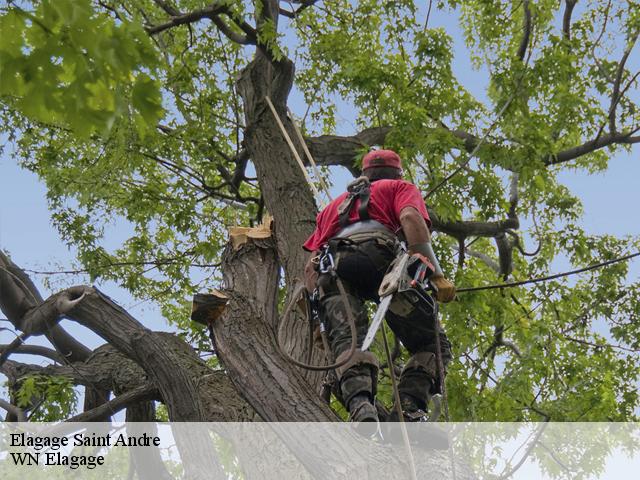 Elagage saint-andre-06730 Hoffemann Paysagiste