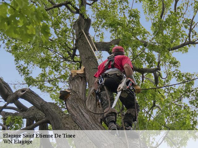 Elagage saint-etienne-de-tinee-06660 WN Elagage