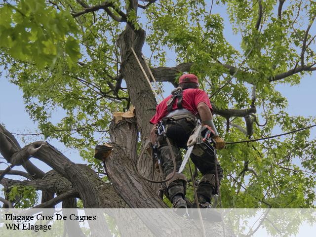Elagage cros-de-cagnes-06800 WN Elagage
