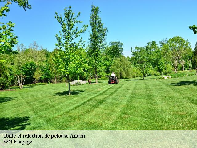 Tonte et refection de pelouse  andon-06750 WN Elagage