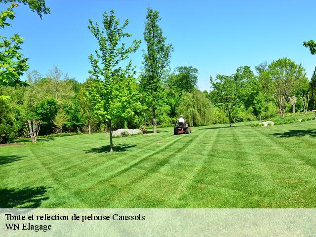 Tonte et refection de pelouse  caussols-06460 WN Elagage