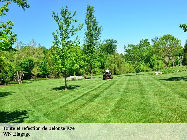 Tonte et refection de pelouse  eze-06360 WN Elagage