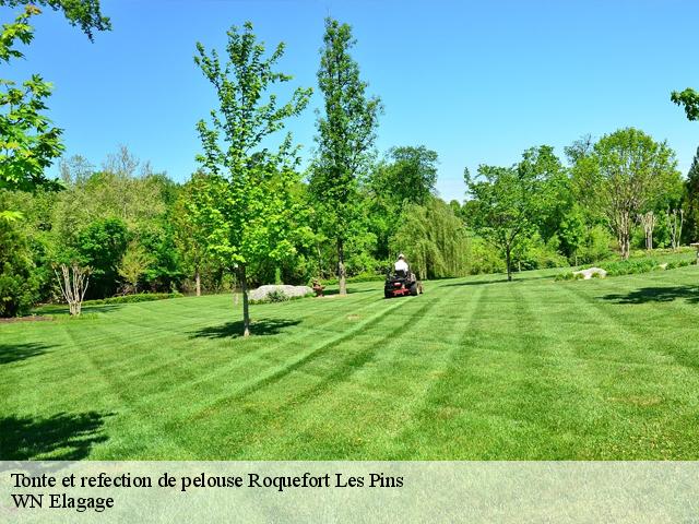 Tonte et refection de pelouse  roquefort-les-pins-06330 WN Elagage