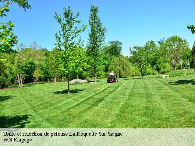 Tonte et refection de pelouse la-roquette-sur-siagne-06550 WN Elagage