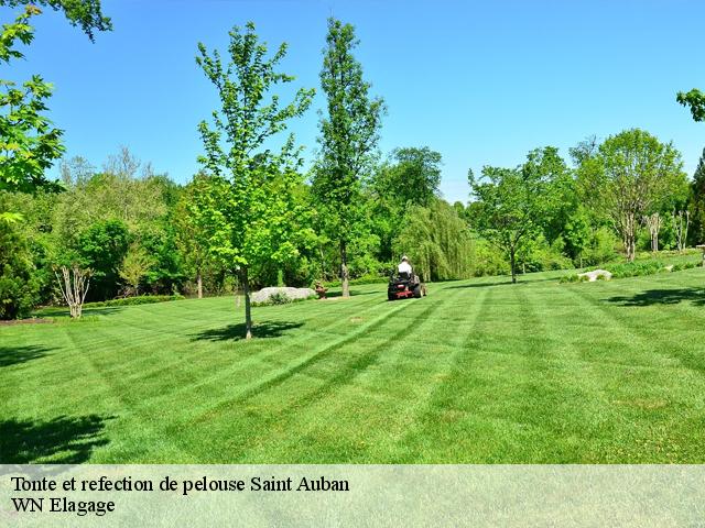 Tonte et refection de pelouse  saint-auban-06850 WN Elagage