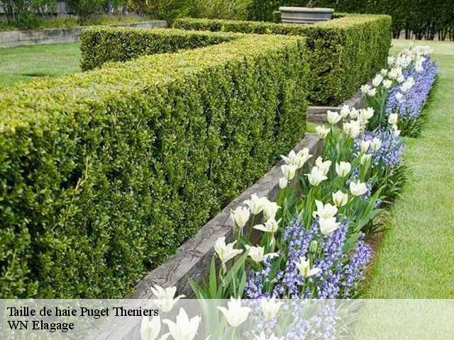 Taille de haie puget-theniers-06260 WN Elagage