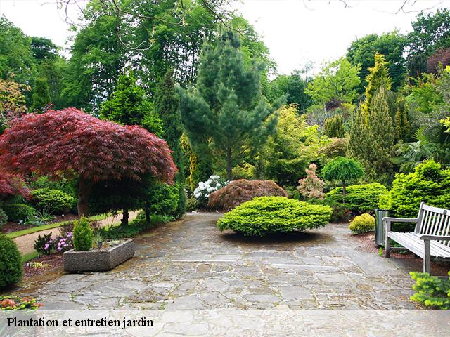 Plantation et entretien jardin