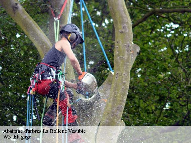 Abattage d'arbres la-bollene-vesubie-06450 WN Elagage
