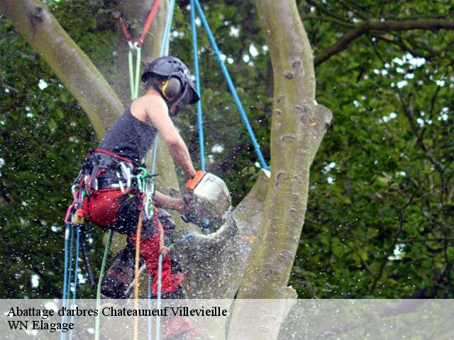 Abattage d'arbres  chateauneuf-villevieille-06390 WN Elagage