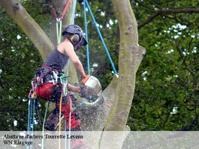 Abattage d'arbres  tourrette-levens-06690 WN Elagage