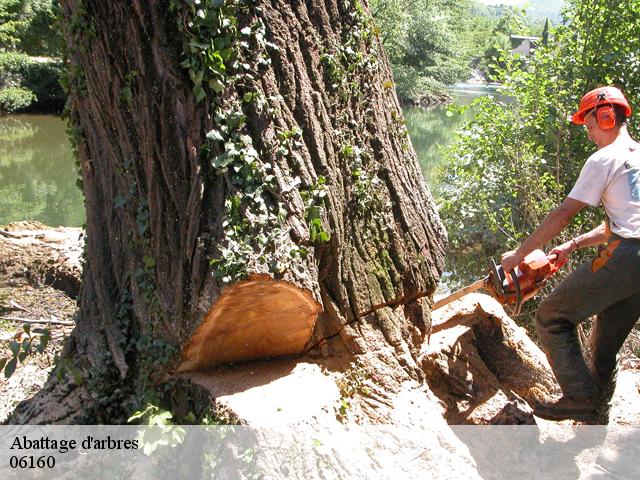 Abattage d'arbres 06160
