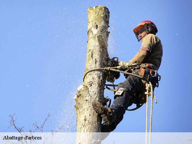 Abattage d'arbres