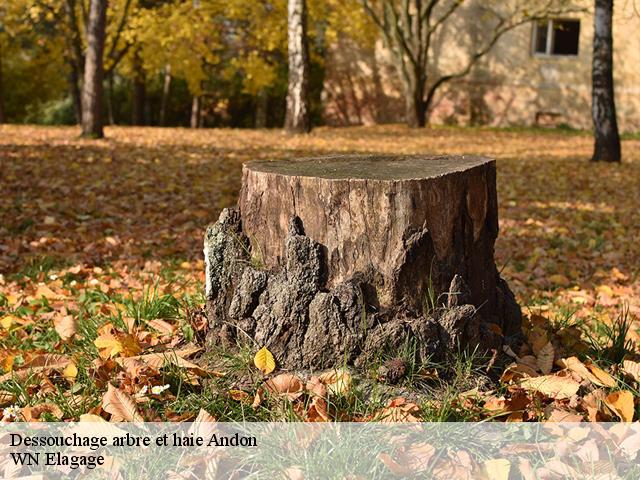 Dessouchage arbre et haie  andon-06750 WN Elagage