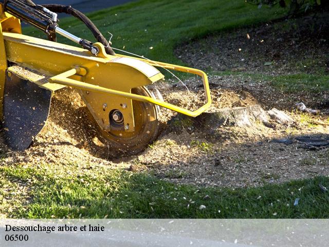 Dessouchage arbre et haie 06500
