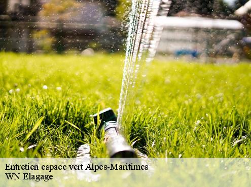 Entretien espace vert 06 Alpes-Maritimes  WN Elagage