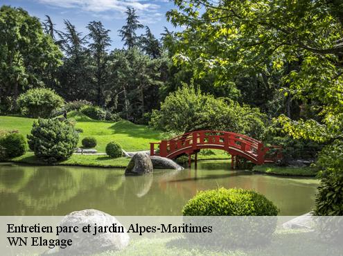 Entretien parc et jardin 06 Alpes-Maritimes  WN Elagage