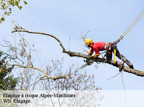 Elagage à risque 06 Alpes-Maritimes  WN Elagage