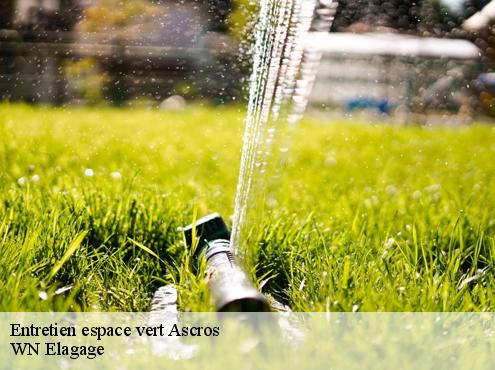 Entretien espace vert  ascros-06260 WN Elagage