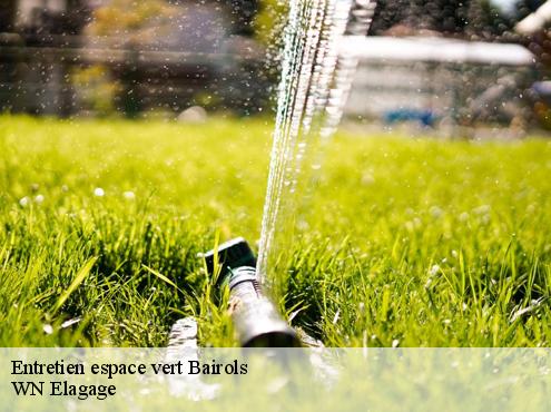 Entretien espace vert bairols-06420 WN Elagage