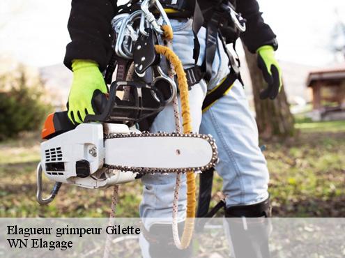 Elagueur grimpeur  gilette-06830 WN Elagage