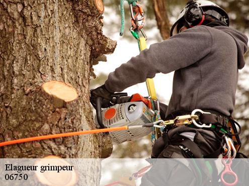 Elagueur grimpeur 06750