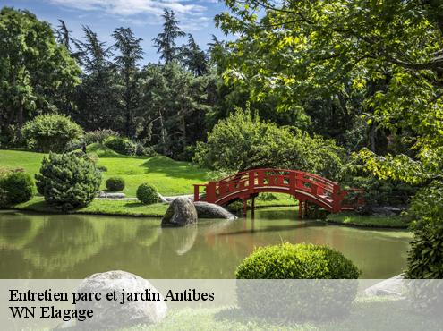 Entretien parc et jardin  antibes-06600 WN Elagage