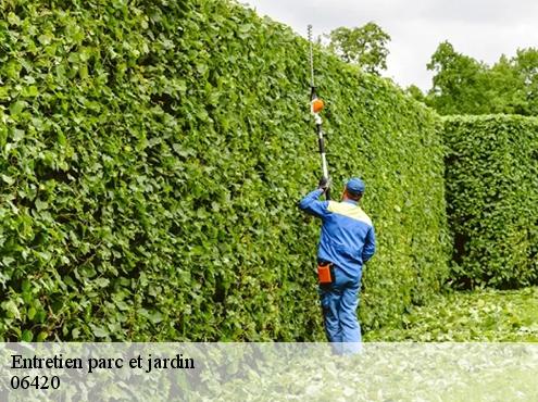 Entretien parc et jardin  06420