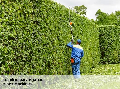 Entretien parc et jardin  