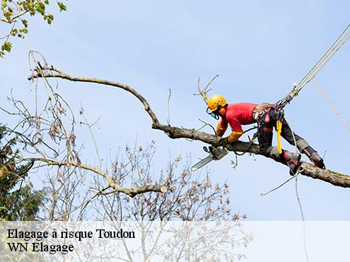 Elagage à risque  toudon-06830 WN Elagage